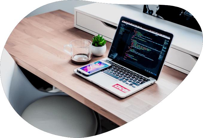 Web Development and SEO - Namastech Digital Agency